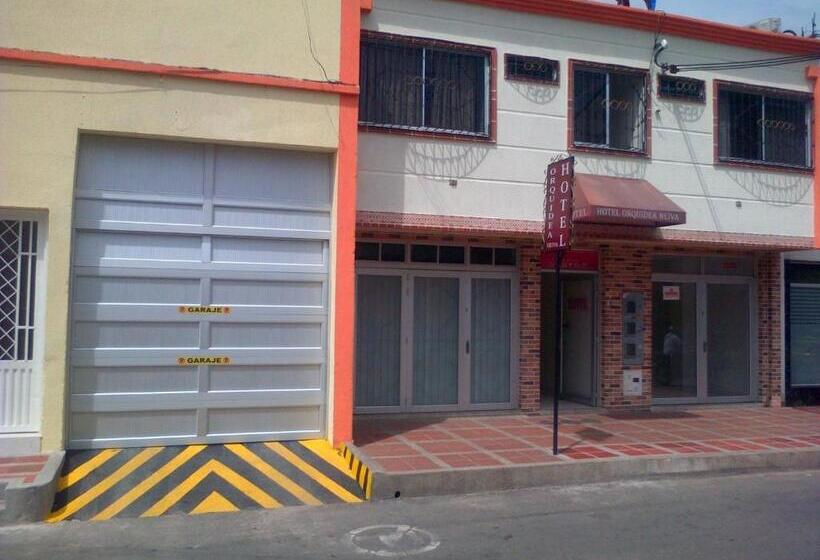 旅馆 Orquídea Neiva