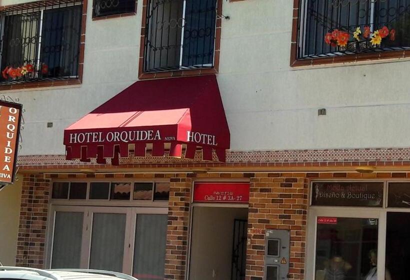 旅馆 Orquídea Neiva