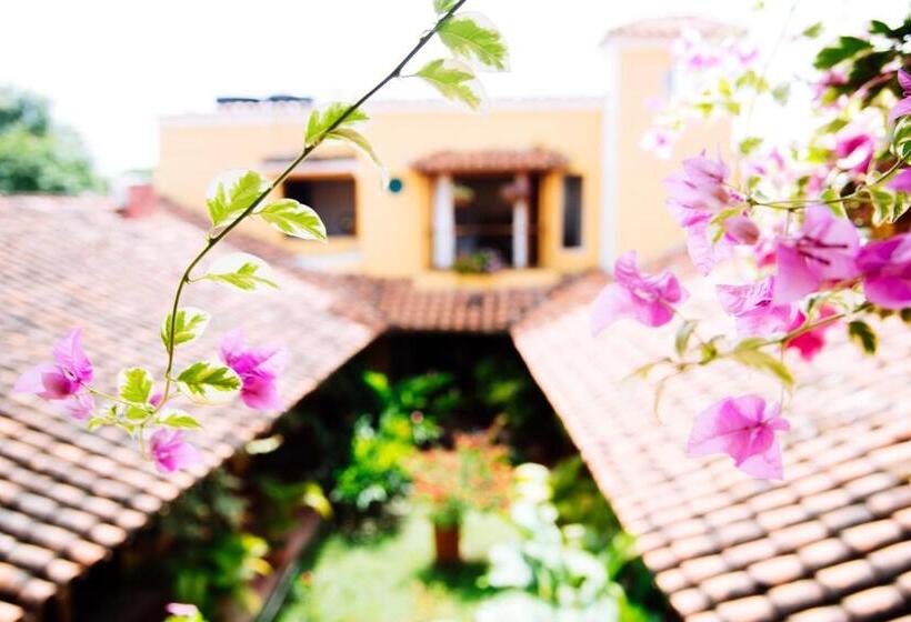 مبيت وإفطار La Casa Amarilla