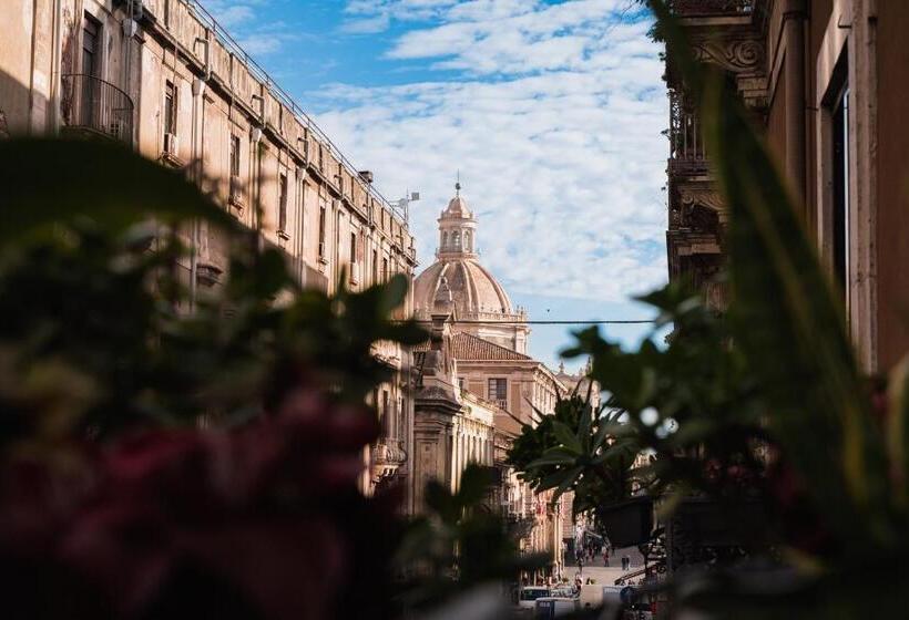 فندق B&b Palazzo Bruca