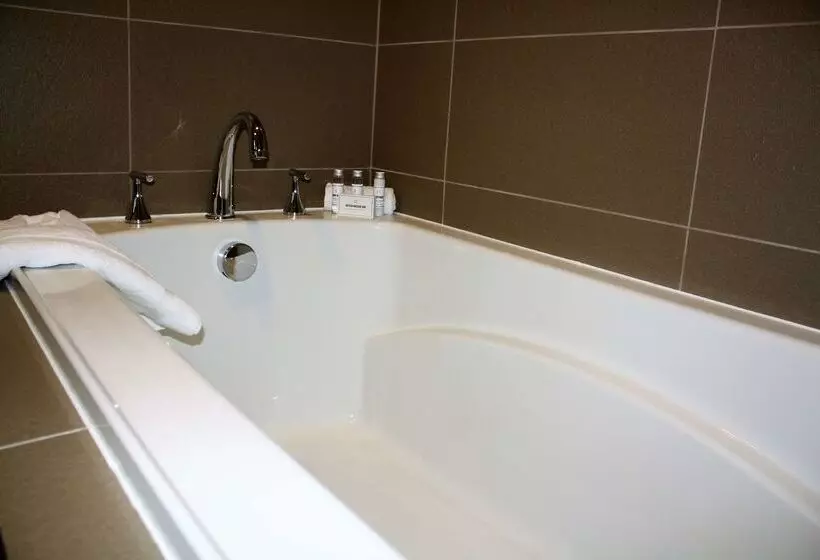 ホテル Best Western Premier Nyc Gateway