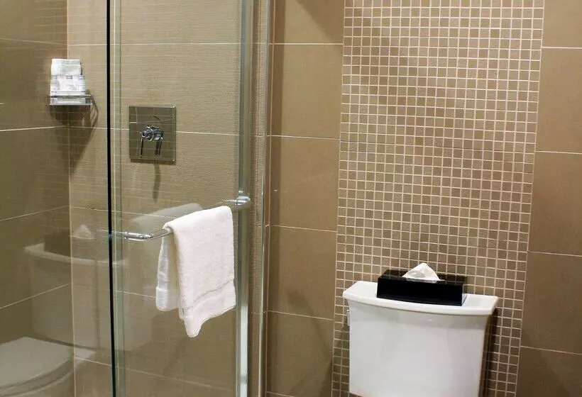 ホテル Best Western Premier Nyc Gateway