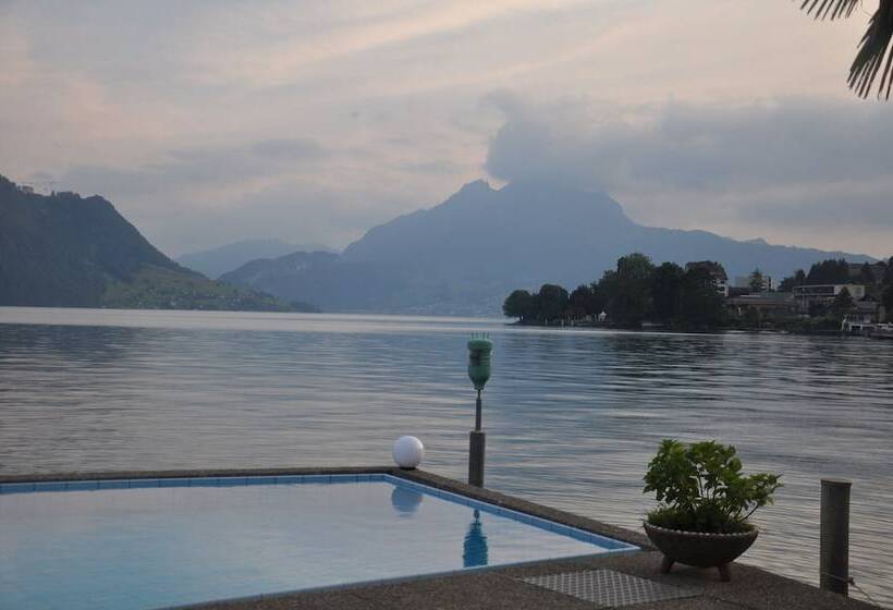 בית מלון כפרי Central Am See