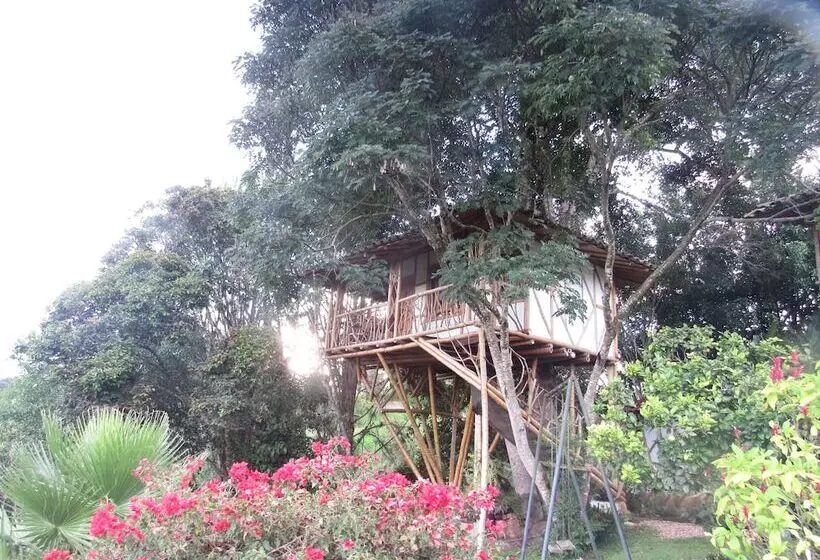 ホテル Finca El Cielo