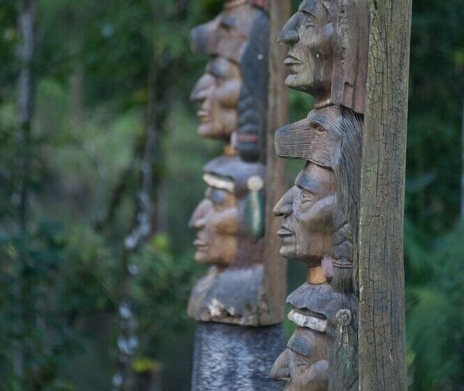 Отель Paraiso Eco Lodge