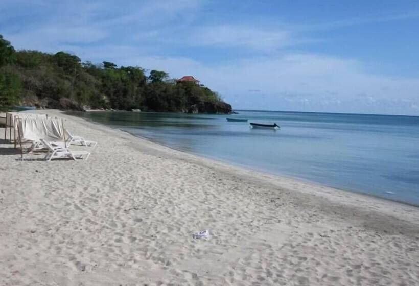 فندق Y Centro De Buceo Sirius