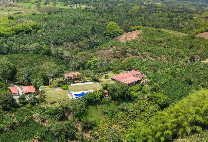 דירת נופש Finca Hotel Los Girasoles