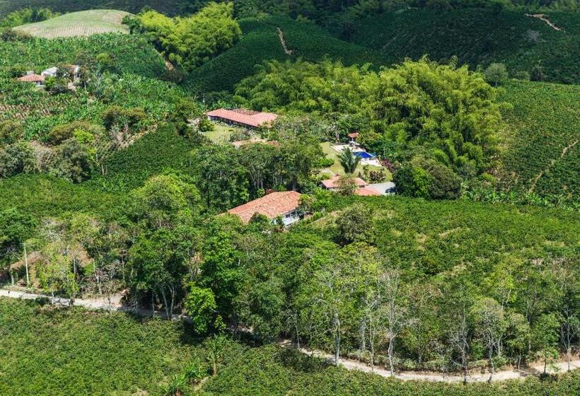 דירת נופש Finca Hotel Los Girasoles