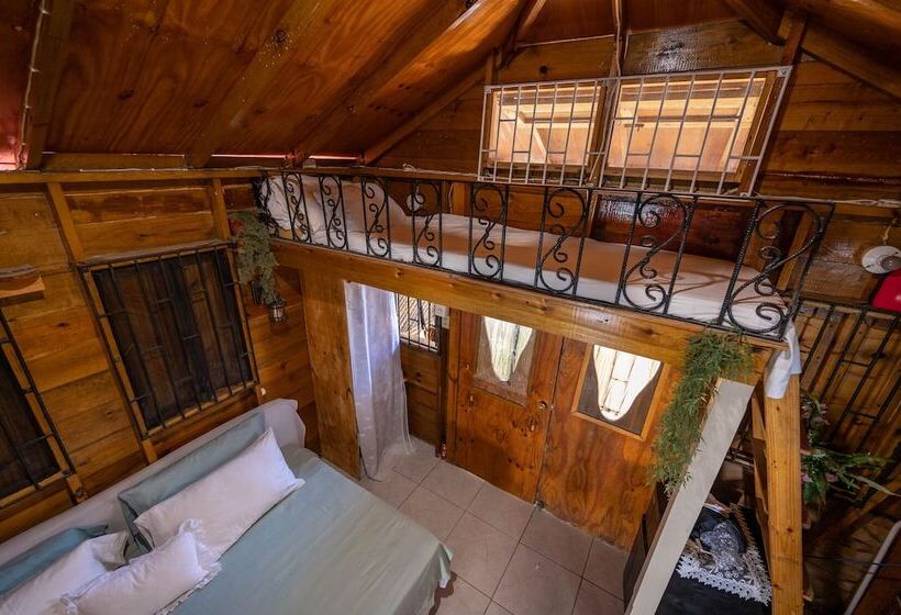 Ocean Sunset Oasis West End Negril