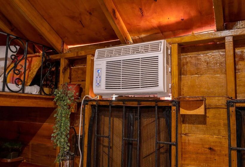 Ocean Sunset Oasis West End Negril