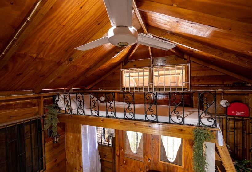 Ocean Sunset Oasis West End Negril