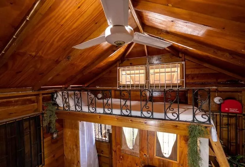 Ocean Sunset Oasis West End Negril