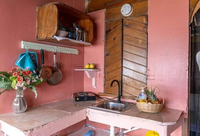 Ocean Sunset Oasis West End Negril