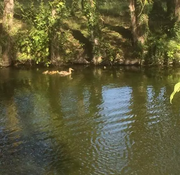 تختخواب و صبحانه Au Parc Aux Lièvres