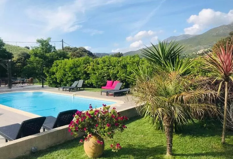 تختخواب و صبحانه Casa Eva Maria