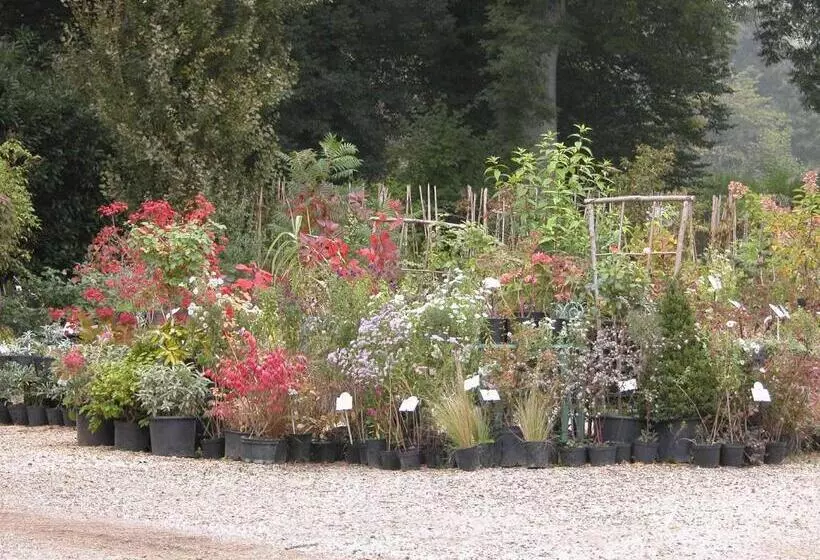 ベッドアンドブレックファースト Chambres D'hôtes Du Jardin Francais