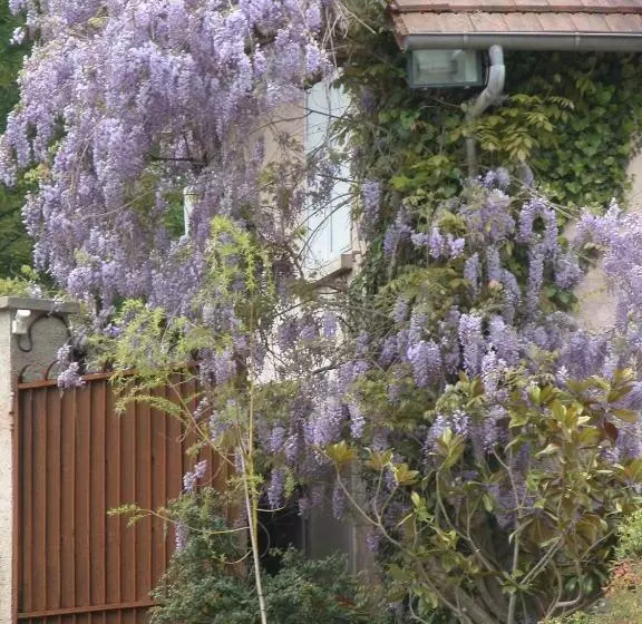 ベッドアンドブレックファースト Chambres D'hôtes Du Jardin Francais