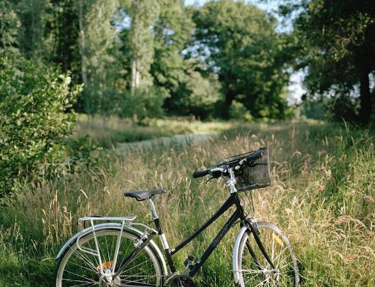 צימר Château De La Giraudière