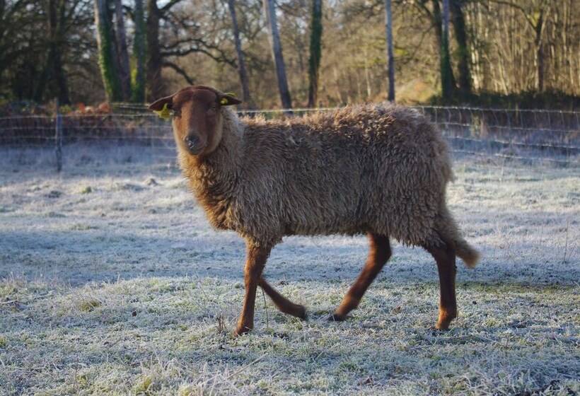 צימר Château De La Giraudière