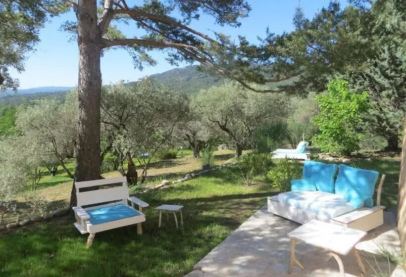 Aamiaismajoitus (B&B) La Clorinde