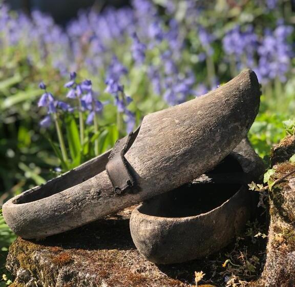 مبيت وإفطار La Gomerie Chambres D'hotes