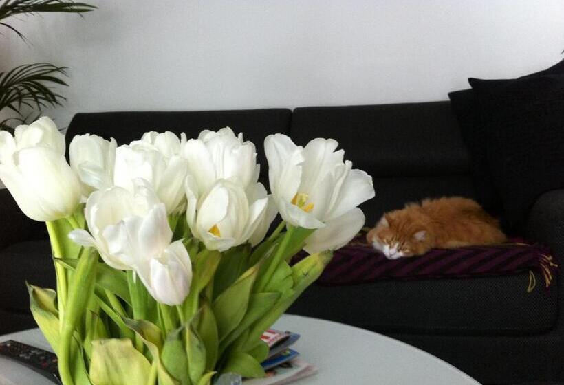 مبيت وإفطار La Maison Carolane