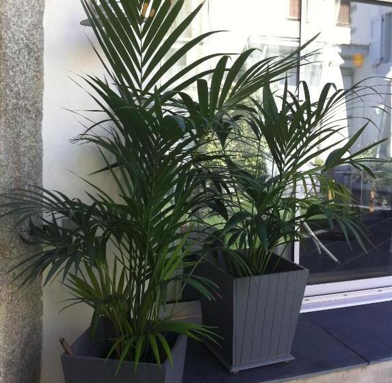 مبيت وإفطار La Maison Carolane