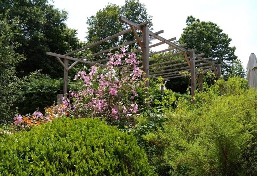 住宿加早餐 La Maison Du Marchand