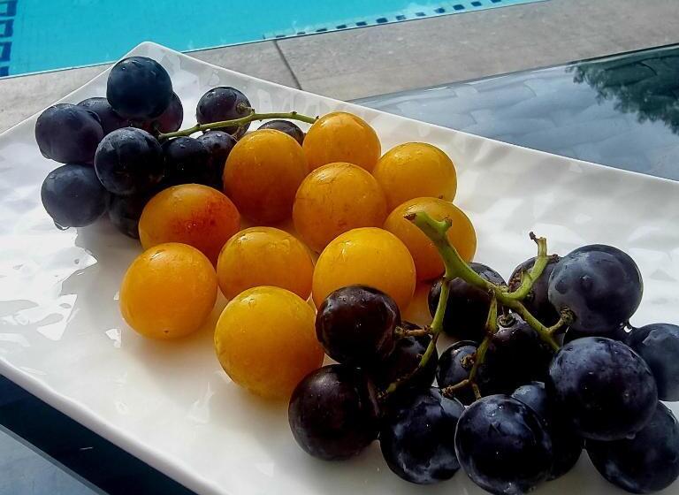 צימר La Villa Blanche