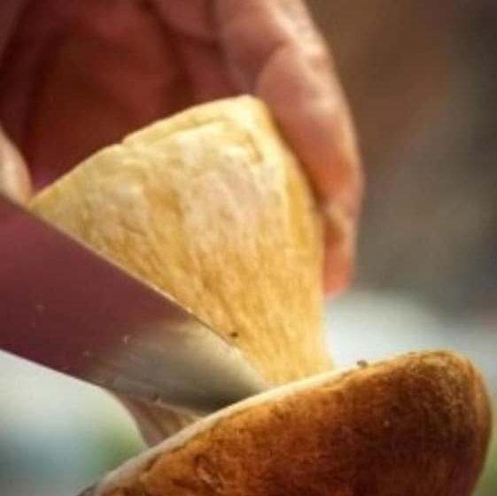 تختخواب و صبحانه Le Parc Des 4 Saisons