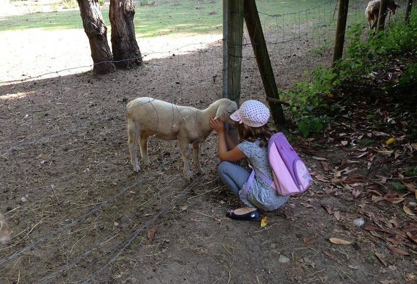 ベッドアンドブレックファースト Les Camelias