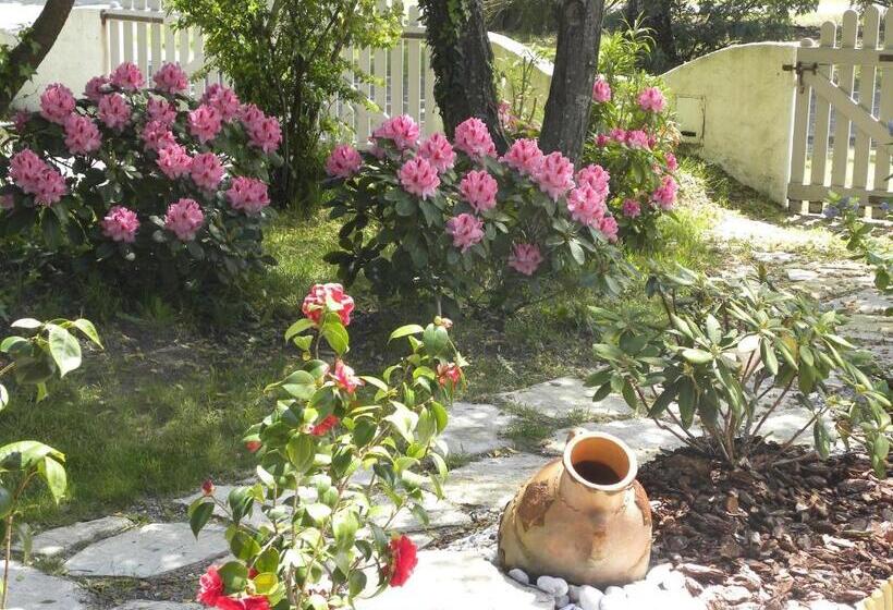 ベッドアンドブレックファースト Villa Mogador Piscine Et Balnéo