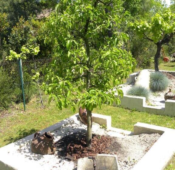 ベッドアンドブレックファースト Villa Mogador Piscine Et Balnéo