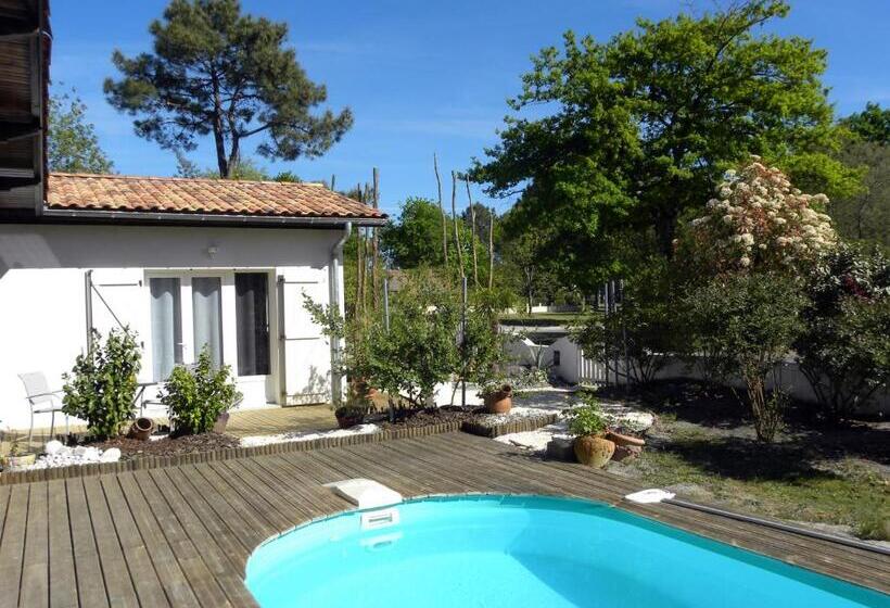 ベッドアンドブレックファースト Villa Mogador Piscine Et Balnéo