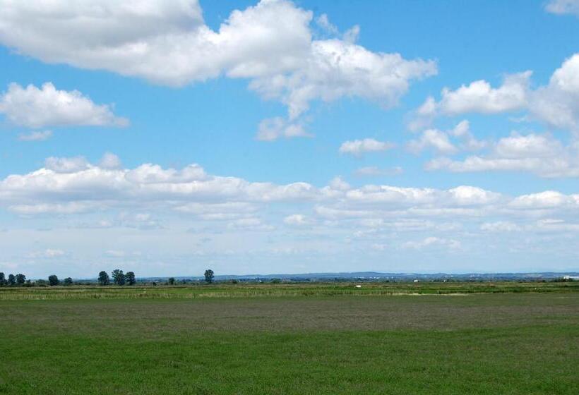 酒店 Auberge Des Plaines Appart Hôtel