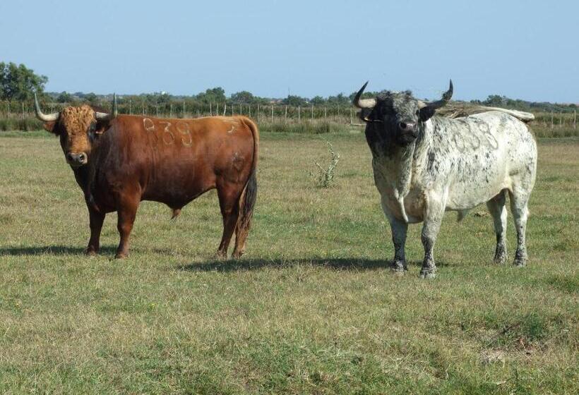 酒店 Auberge Des Plaines Appart Hôtel