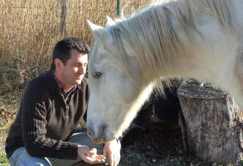 酒店 Auberge Des Plaines Appart Hôtel