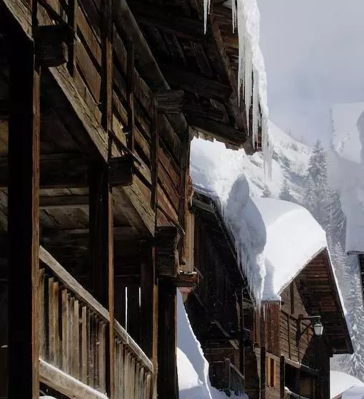 Chalet La Vigogne Et Spa