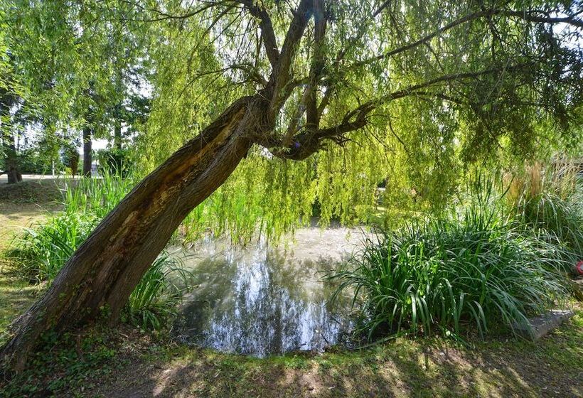 Logis   Hotel Restaurant La Mire