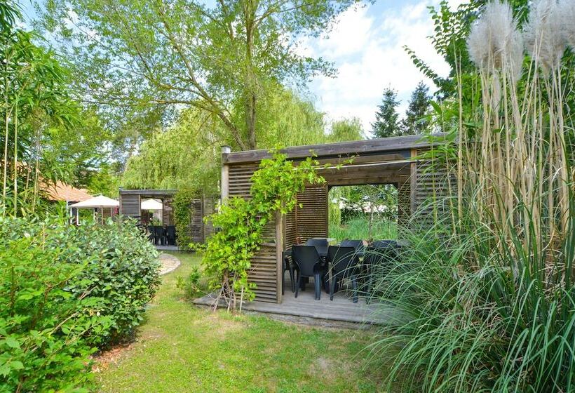 Logis   Hotel Restaurant La Mire