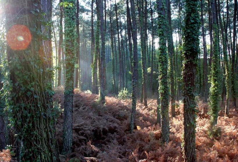 ホテル Villa De L Etang Blanc