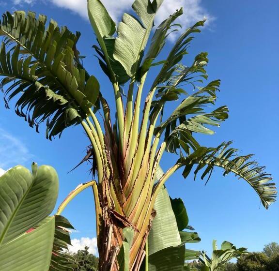 민박 Villa Mercedes Bord De Mer