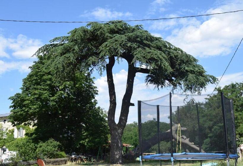 ベッドアンドブレックファースト Chambres D Hôtes Le Pré Aux ânes