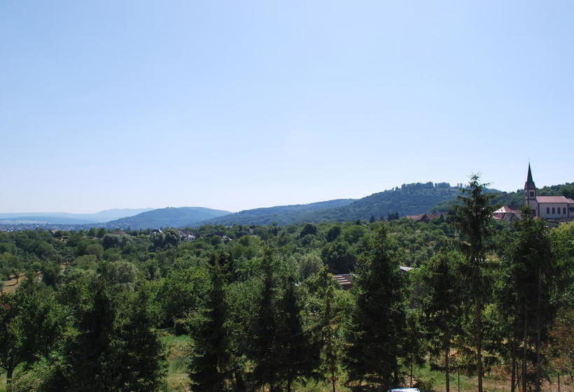 تختخواب و صبحانه Chambres D'hôtes Les Vignes