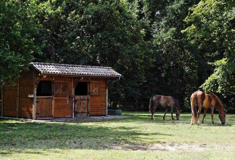 Bed and Breakfast Château De L Isle  Chambres D Hôtes