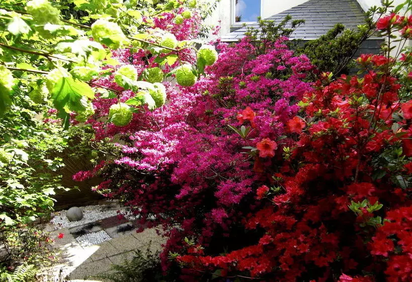 ベッドアンドブレックファースト La Chandanielerie