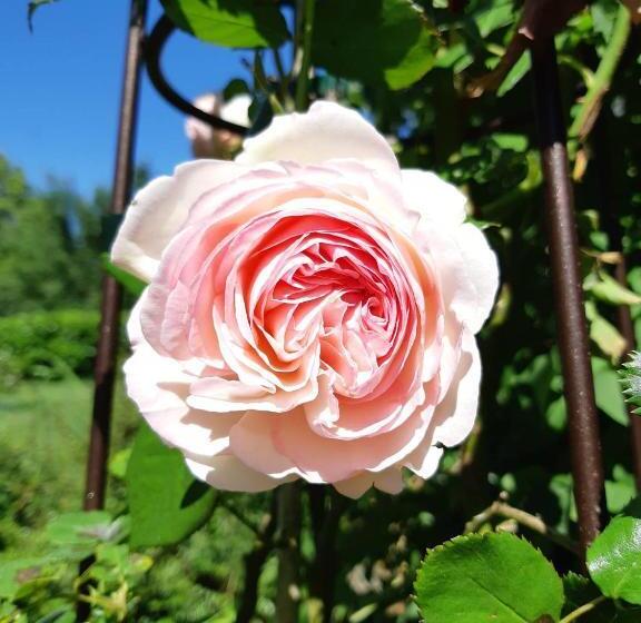 ベッドアンドブレックファースト La Grange