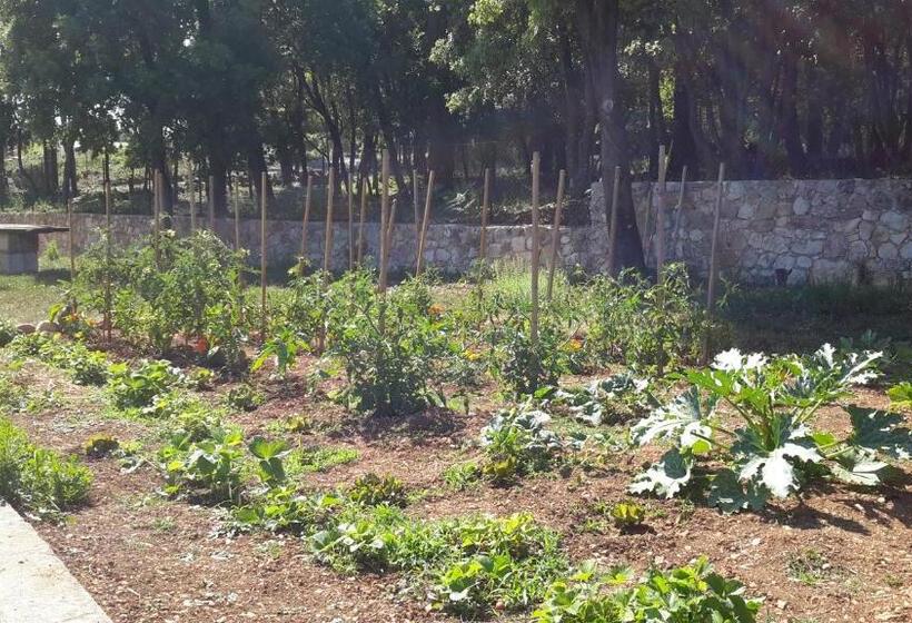 住宿加早餐  La Maison De Jenny