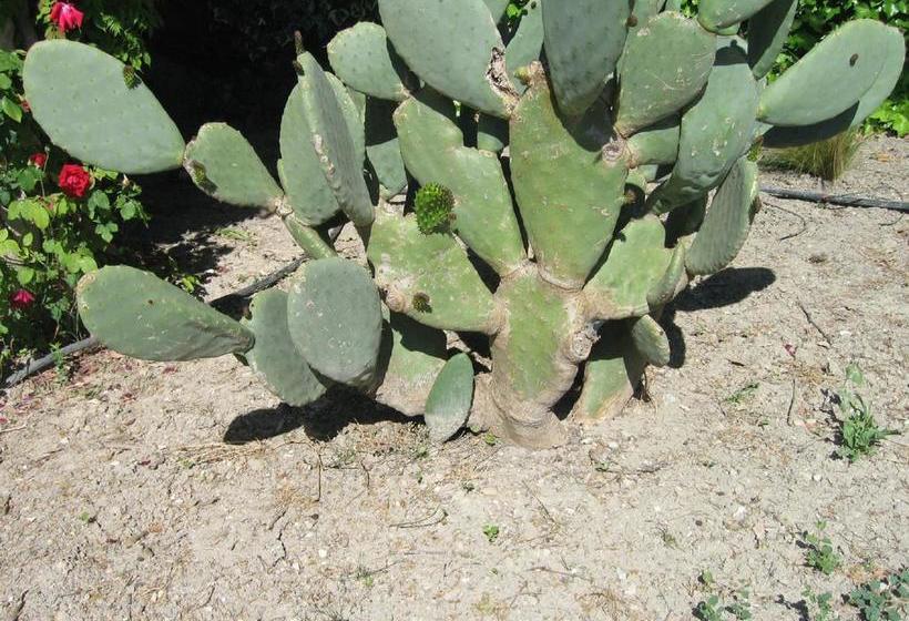 住宿加早餐  La Pastorale