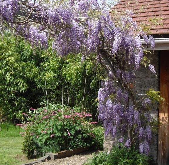 مبيت وإفطار Les Arts Verts